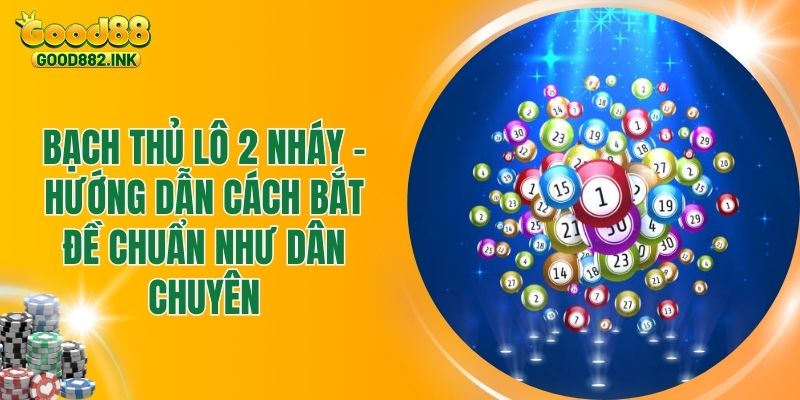 Bạch Thủ Lô 2 Nháy - Bí Quyết Bắt Đề Chuẩn Như Dân Chuyên