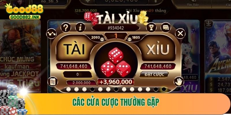 Các cửa cược thường gặp trong game Sicbo