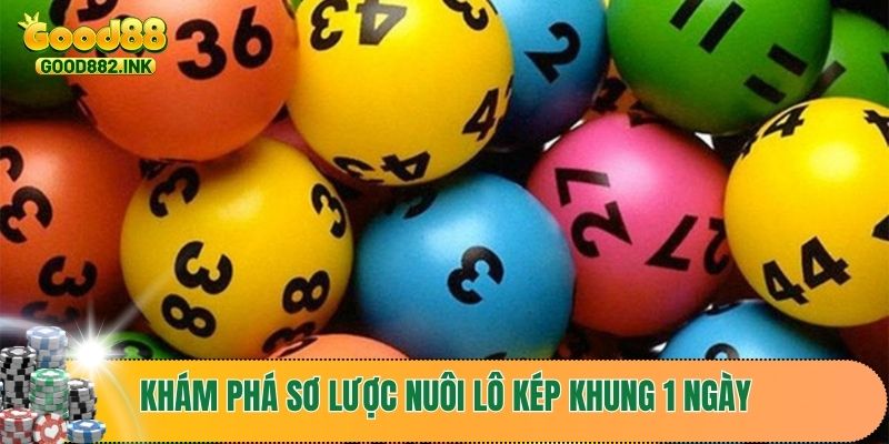 Khám phá sơ lược nuôi lô kép khung 1 ngày