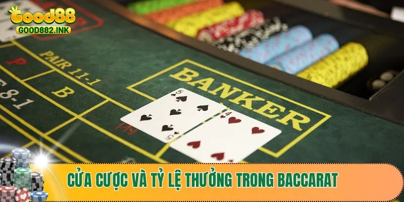 Những cửa cược và tỷ lệ thưởng trong baccarat