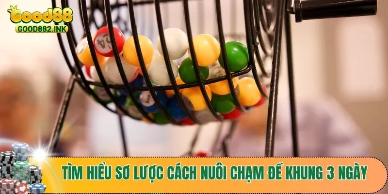 Tìm hiểu sơ lược cách nuôi chạm đề khung 3 ngày